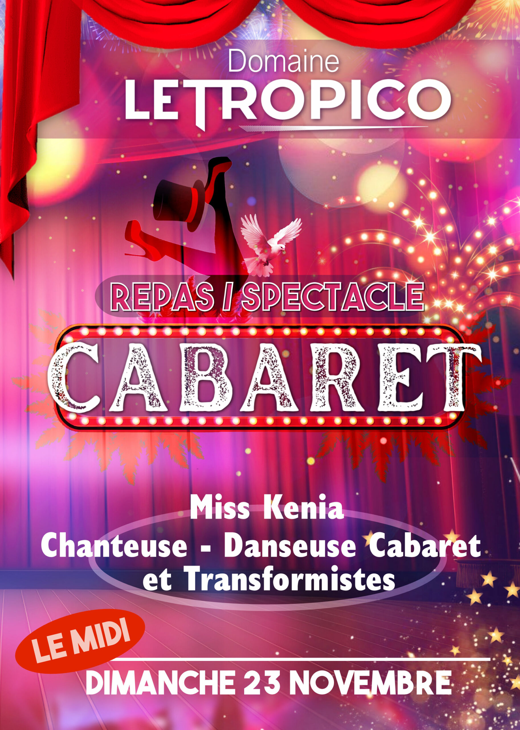 DÉJEUNER SPECTACLE CABARET