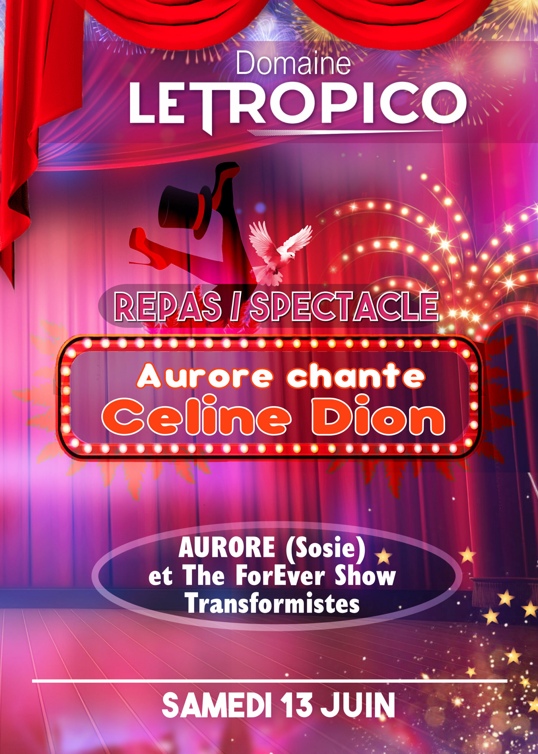 DÎNER SPECTACLE CABARET